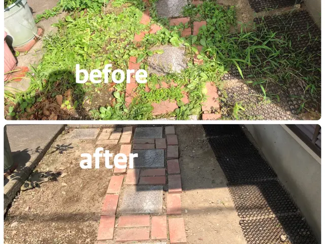 【速い作業・適正な価格・綺麗な仕上り】◎庭を覆い尽くす雑草を綺麗に取り除きます◎サービスの画像