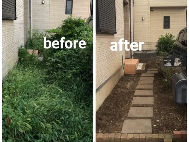 【速い作業・適正な価格・綺麗な仕上り】◎庭を覆い尽くす雑草を綺麗に取り除きます◎サービスの画像