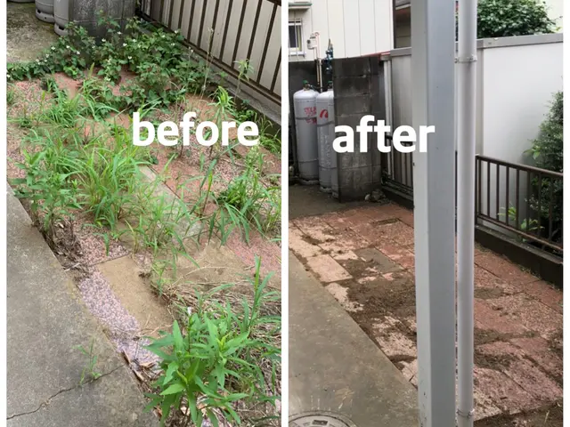 【速い作業・適正な価格・綺麗な仕上り】◎庭を覆い尽くす雑草を綺麗に取り除きます◎サービスの画像