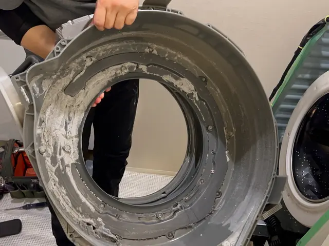 ドラム式洗濯機クリーニング（分解洗浄）サービスの画像