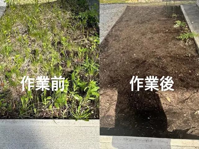 草むしり〔手作業〕お庭や玄関先の草むしり手作業で丁寧に綺麗しますサービスの画像