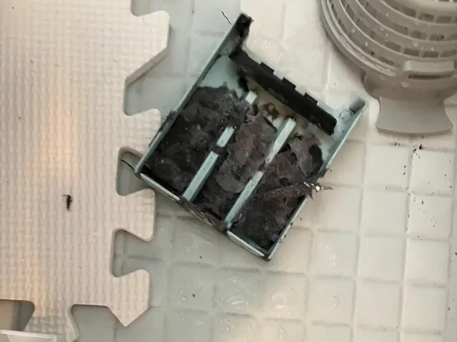 洗濯機クリーニング！毎日使う洗濯機だからこそ綺麗にしませんか？サービスの画像