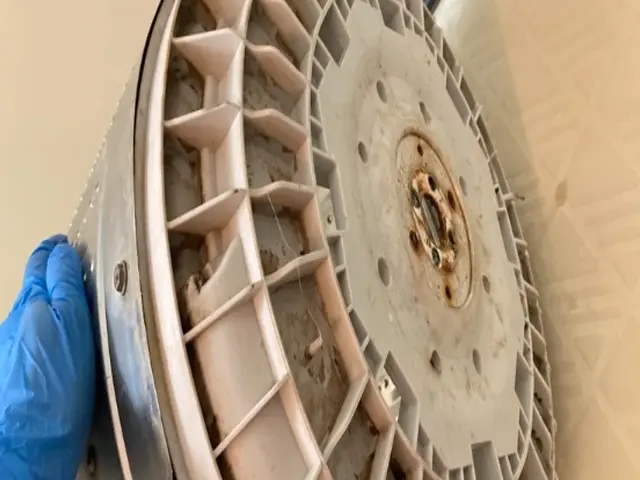 洗濯機クリーニング！毎日使う洗濯機だからこそ綺麗にしませんか？サービスの画像