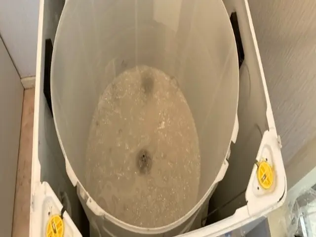 洗濯機クリーニング！毎日使う洗濯機だからこそ綺麗にしませんか？サービスの画像