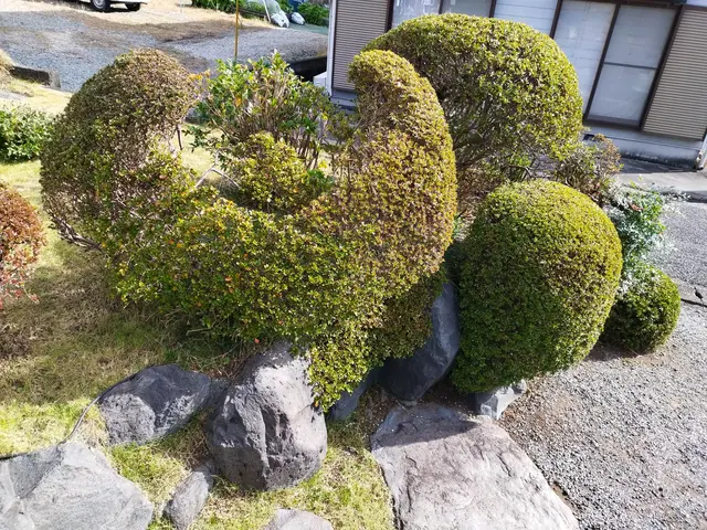 【業歴11年の経験と実績】静岡市発・迅速丁寧な対応！希望に添える様に頑張ります。サービスの画像