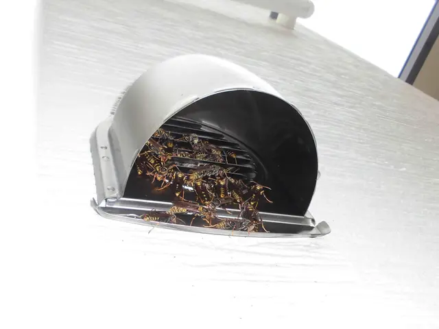 【アシナガ11,000円、スズメバチ16,500円(基本)】アフターフォロ―対応サービスの画像