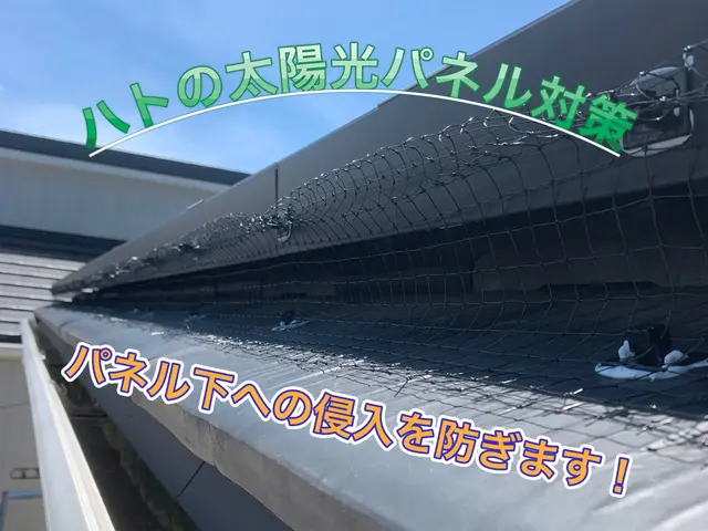 【担当案件数1万件以上】大手消毒会社に10年在籍／即日対応も可！サービスの画像