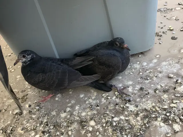 【担当案件数1万件以上】大手消毒会社に10年在籍／即日対応も可！サービスの画像