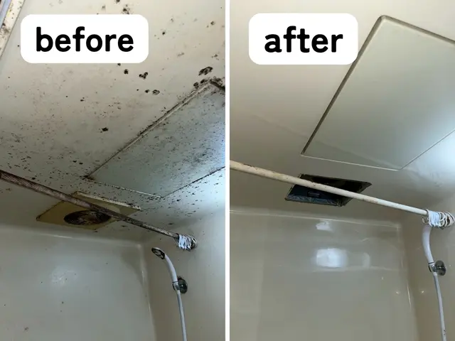 【水回りピカピカ4点セット】大掃除にピッタリ！サービスの画像