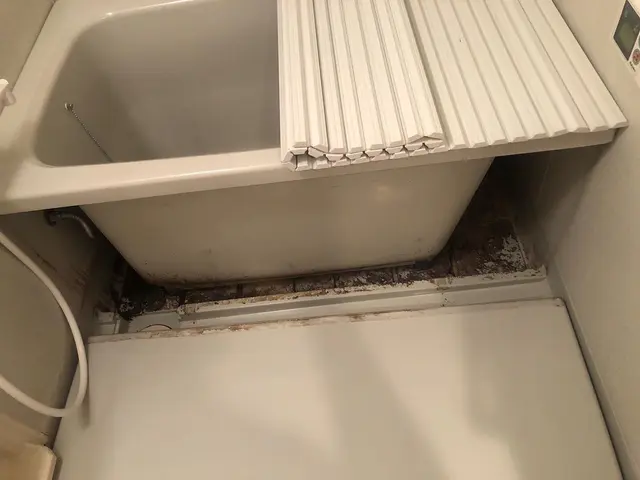 【実績10年以上】真心込めて一生懸命にお掃除します！PayPay使えますサービスの画像