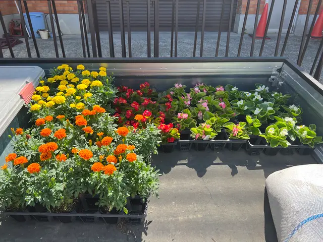 【業界歴25年の経験実績】全て自社対応◎一級造園技能士が在籍しています！サービスの画像