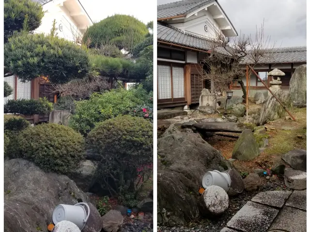 《２級造園技能士の店長が必ずお伺い！》お客様のご依頼に丁寧に対応いたします♬サービスの画像