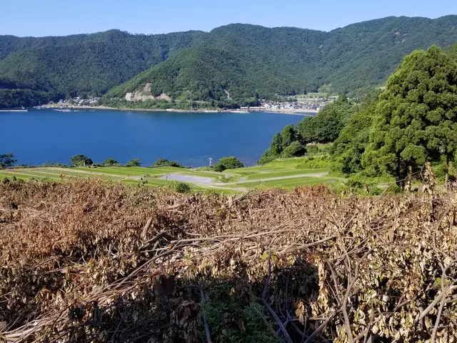 《２級造園技能士の店長が必ずお伺い！》お客様のご依頼に丁寧に対応いたします♬サービスの画像