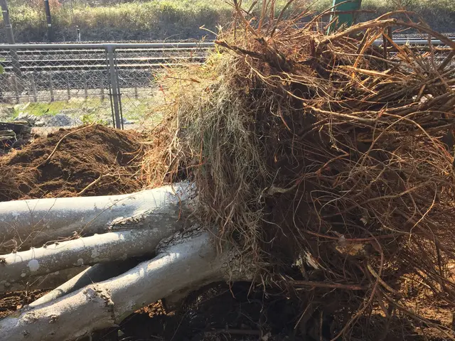 庭師歴22年目！信頼関係を大切に★和風、洋風問わずご対応可能！サービスの画像