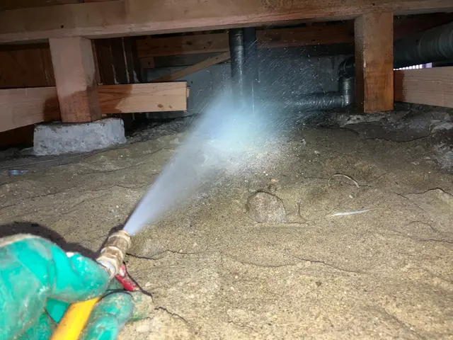 ゴキブリ駆除サービスの画像