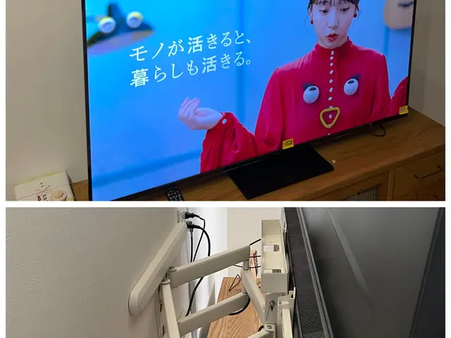 ＴＶの壁掛けサービスの画像