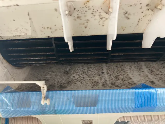 わんちゃん、ねこちゃん、赤ちゃんにも安心洗剤使用可能。大切な家族に。非喫煙者サービスの画像