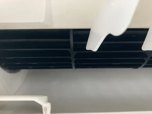 わんちゃん、ねこちゃん、赤ちゃんにも安心洗剤使用可能。大切な家族に。非喫煙者サービスの画像