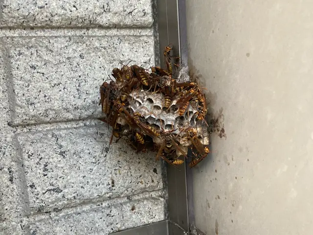 迅速・丁寧な対応で、お悩み解決サービスの画像