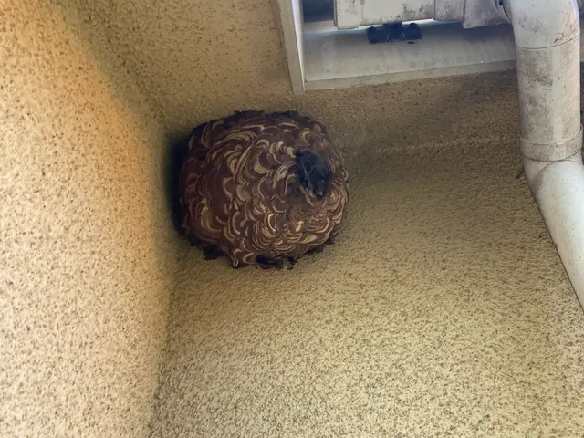 迅速・丁寧な対応で、お悩み解決サービスの画像