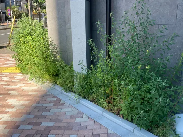 1本でも前日でも依頼対応可能な丁寧作業で安心！サービスの画像