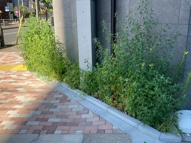 1本でも前日でも依頼対応可能な丁寧作業で安心！サービスの画像