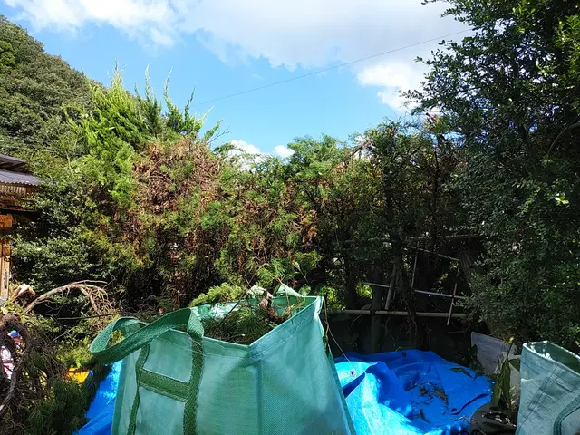 ◇庭木の剪定専門業者◇拘りの完全自社施工◇素敵なお庭作りサポートサービスの画像