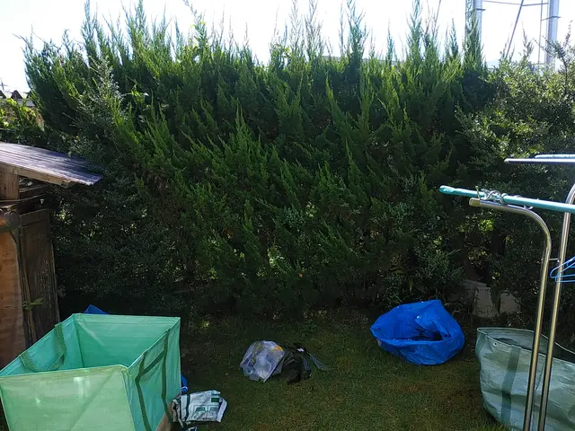 ◇庭木の剪定専門業者◇拘りの完全自社施工◇素敵なお庭作りサポートサービスの画像