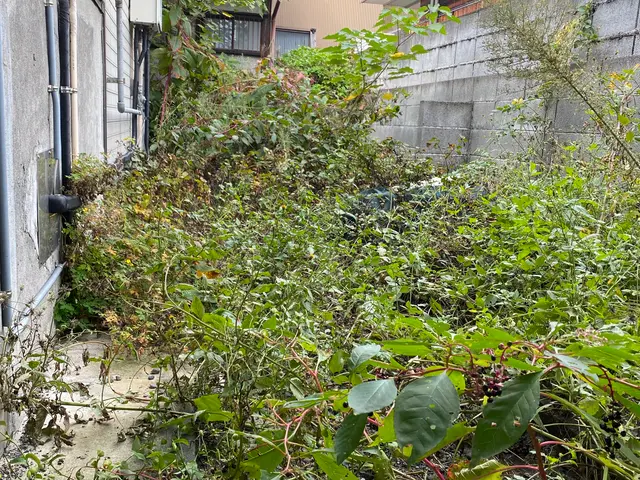 【11月出店】林業経験10年の職人サービスの画像