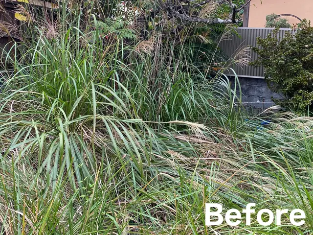 【11月出店】林業経験10年サービスの画像