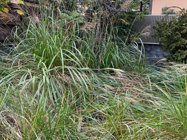 【11月出店】林業経験10年の職人サービスの画像