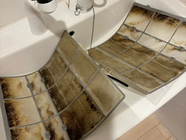 エアコン必須の夏到来！カビだらけのエアコンをスッキリサービスの画像