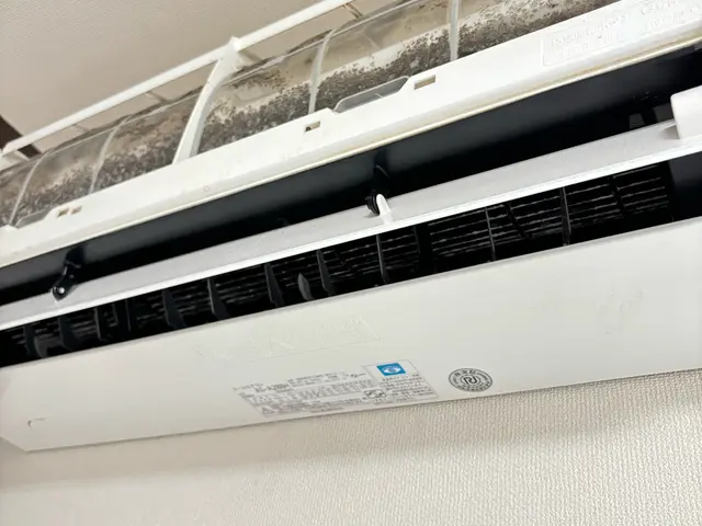 エアコン必須の夏到来！カビだらけのエアコンをスッキリサービスの画像