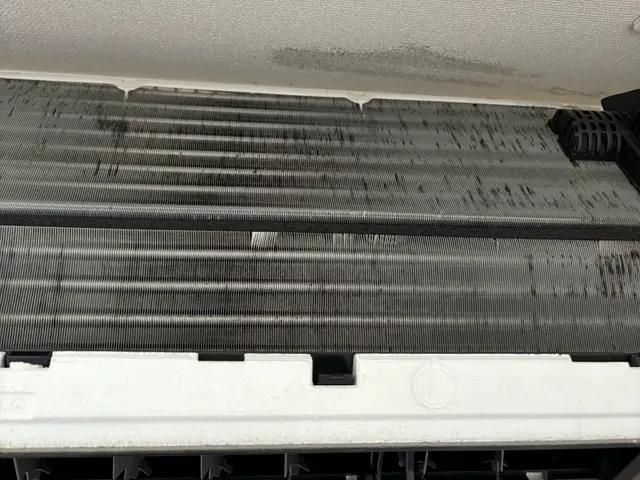 エアコン必須の夏到来！カビだらけのエアコンをスッキリサービスの画像