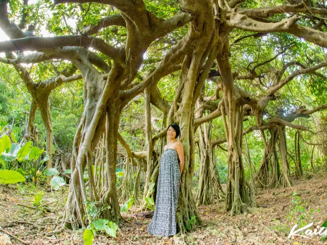 《沖縄県石垣島拠点》大自然の絶景ポイントを堪能しながらスナップポートレート撮影