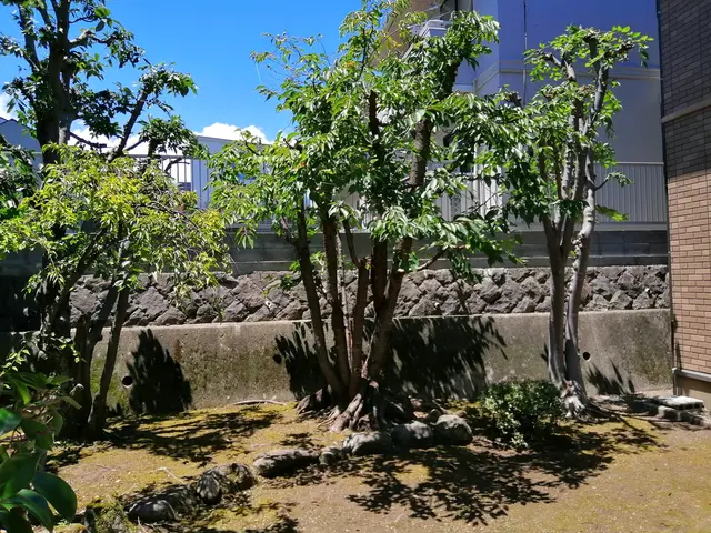 プロの技術でご満足いただけるように心を込めて作業いたしますサービスの画像