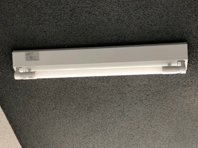 RBエンジニアリング【安心第一】【高耐久LED込】オフィス クリニック 共用廊下サービスの画像