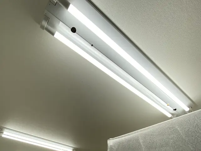 RBエンジニアリング【安心第一】【高耐久LED込】オフィス クリニック 共用廊下サービスの画像