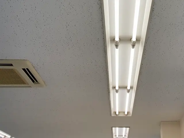 RBエンジニアリング【安心第一】【高耐久LED込】オフィス クリニック 共用廊下サービスの画像