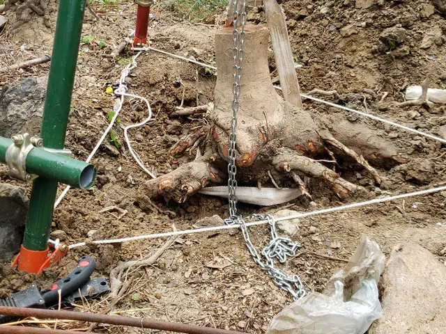 【造園業20年☆庭園管理士】機械での使用は9:00～とさせていただきます。サービスの画像