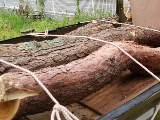 【造園業20年☆庭園管理士】機械での使用は9:00～とさせていただきます。サービスの画像