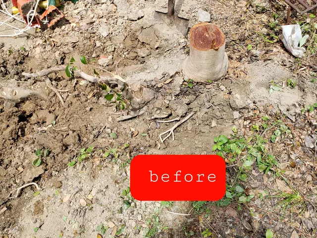 【造園業20年☆庭園管理士】機械での使用は9:00～とさせていただきます。サービスの画像