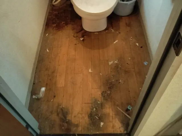 フローリングクリーニングサービスの画像