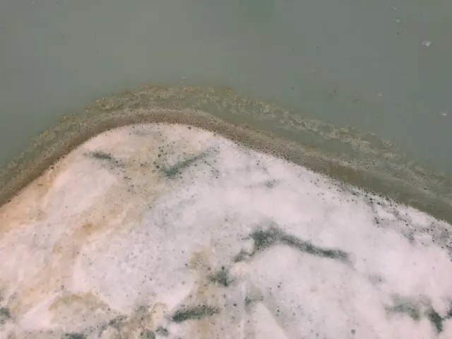 【追いだき配管洗浄】安心な洗剤★非喫煙者★サービスの画像