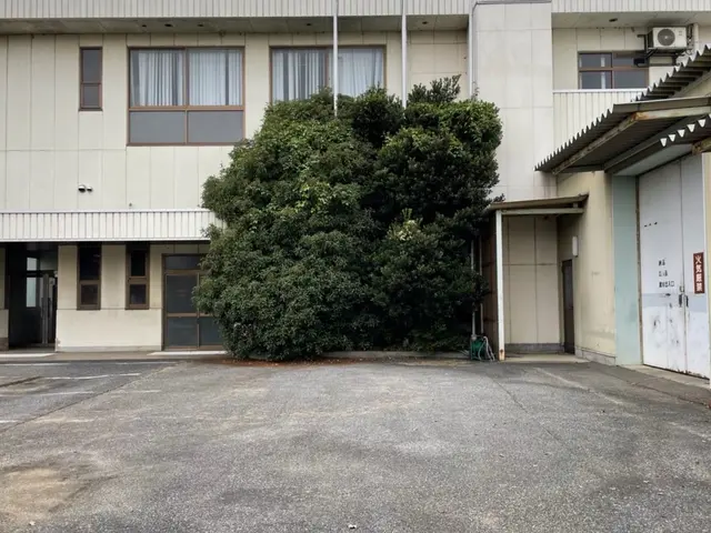 女性スタッフ同行可能！仕上がりにご不満の場合は追加対応も行います◎サービスの画像