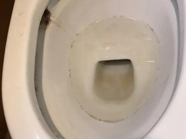 トイレクリーニングサービスの画像