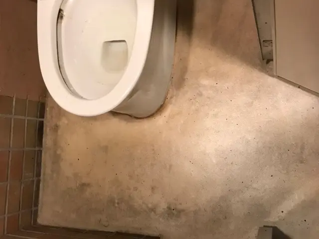 トイレクリーニングサービスの画像