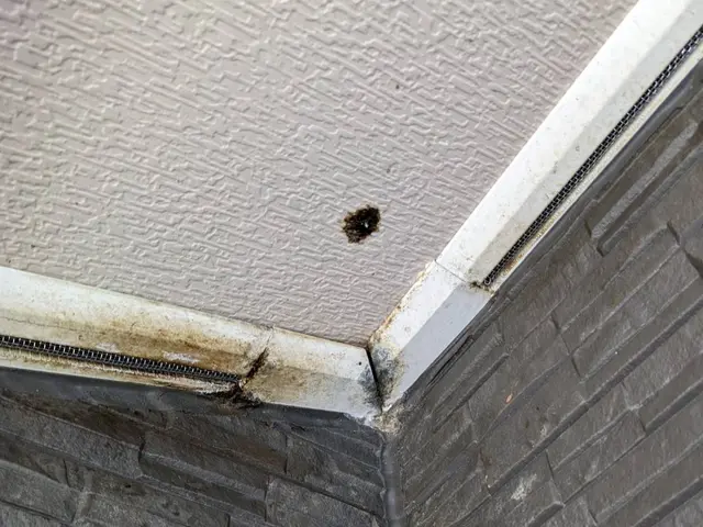 業界歴14年の実績あり！親切対応、再発保証付きで安心！当店にお任せください！サービスの画像