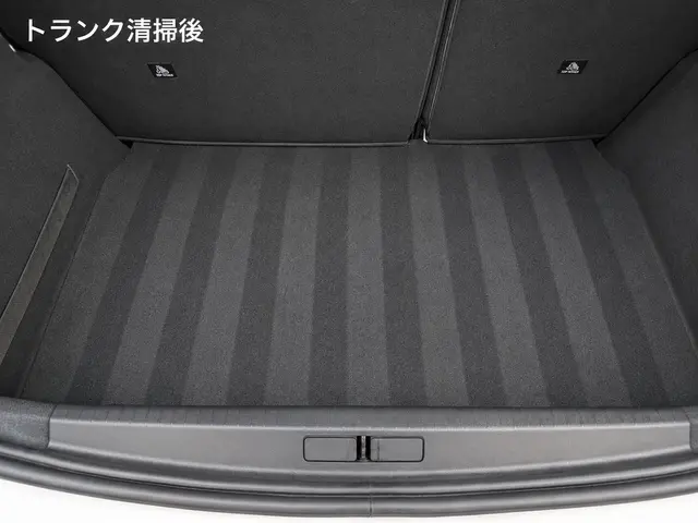 他店にはできない特殊清掃も実績豊富！GWの汚れをリフレッシュ！サービスの画像