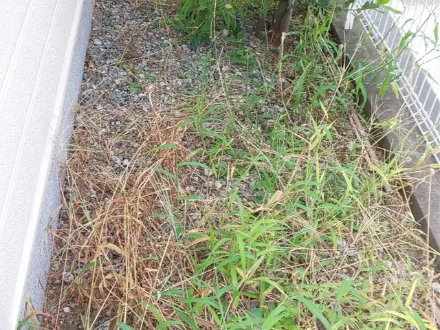 お客様のお力になります！経験と知識を活かして迅速丁寧に作業いたします！サービスの画像